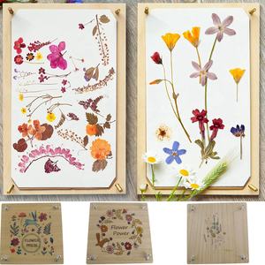 Custom Pressing Leaf Wooden <strong>Flower</strong> <strong>Press</strong> <strong>Kit</strong> for DIY Art Handcraft - Product Image 6