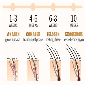 SNAILGIRL Healthy <span class=keywords><strong>Essence</strong></span> Liquid B-Vitamins Angelica Root Cream Extracto de hialuronato de sodio Natural Potenciador de pestañas fuerte - Product Image 5