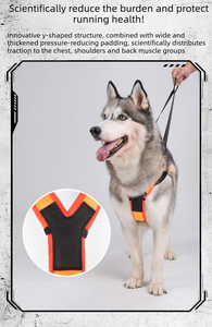 Ensemble <span class=keywords><strong>harnais</strong></span> et laisse pour <span class=keywords><strong>chien</strong></span> de course en plein air, adapté aux chiens de traîneau, confortable, durable, portable, en stock, vente en gros - Product Image 3