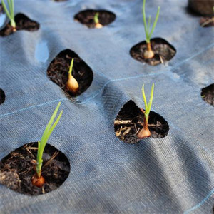 Bán hàng nóng PP dệt Weed mat với lỗ che phủ mặt đất vải cỏ dại màng vườn che phủ mặt đất mulch Weed dừng tấm 1m 2m - Product Image 1