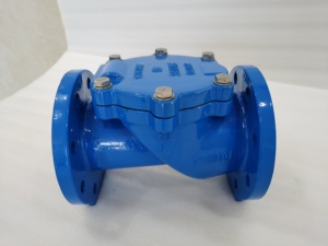 Dn100pn10 डबल फ्लैंज रबर बैठे स्विंग चेक वाल्व - Product Image 2