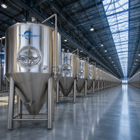 Cuve de Fermentation Conique en Acier Inoxydable Tonsen 500L-5000L avec Enveloppe Chauffante pour Brasserie Artisanale Commerciale