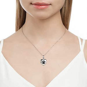 Edelstahl Pet <span class=keywords><strong>Ash</strong></span> Anhänger Urne Halskette für Frauen Lünette Einstellung Erinnerung Memorial Andenken für Hunde und Katzen - Product Image 6
