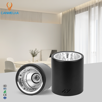 Pour l'éclairage commercial moderne encastré, spots LED pour hôtels, projecteurs, downlights, downlights LED