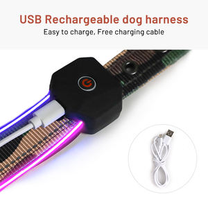 <span class=keywords><strong>Collar</strong></span> de perro LED recargable por USB 2025, diseño personalizado, resistente al agua, seguridad nocturna, resplandor intermitente, luz oscura, cinta con patrón de animales - Product Image 3