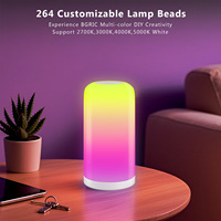 Lampe de nuit moderne minimaliste en acrylique avec éclairage d'ambiance, LED blanche alimentée par USB, commande tactile WiFi RGBIC+CCT pour chevet de chambre à coucher