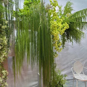 Máquina para Hacer Plantas Artificiales al por Mayor, Estilo Bosque, Económicas, Plantas Artificiales de Hierba de Caña Verde para Decoración de <span class=keywords><strong>Arcos</strong></span> de Boda - Product Image 1