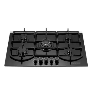 Reasonable Price 5 Burner Gas Cooker Cooktop Gas Stove Gas Hob Tempered Glass