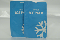Sacs réutilisables à injection d'eau pour le froid, plaques de gel réfrigérant pour l'expédition et la livraison d'aliments frais