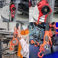 Palans à levier manuels robustes 0,5T-6T, équipement de levage et de traction à chaîne à cliquet