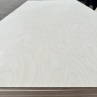 Contreplaqué de bouleau 100% personnalisé 12mm 18mm Contreplaqué laminé marin de qualité E0 4 * 8ft