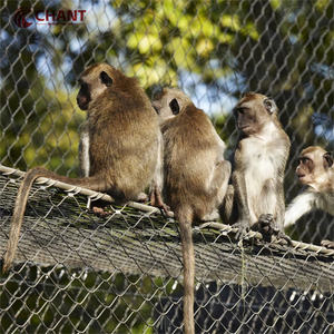 Malla <span class=keywords><strong>de</strong></span> cuerda <span class=keywords><strong>de</strong></span> alambre <span class=keywords><strong>de</strong></span> esgrima <span class=keywords><strong>de</strong></span> <span class=keywords><strong>santuario</strong></span> <span class=keywords><strong>de</strong></span> pájaros estéticamente agradable <span class=keywords><strong>de</strong></span> cualquier tamaño personalizado <span class=keywords><strong>de</strong></span> fábrica <span class=keywords><strong>de</strong></span> China para Parque <span class=keywords><strong>de</strong></span> vida silvestre - Product Image 4