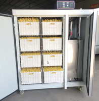 Machine Commerciale Automatique de Traitement des Produits à Base de Haricots 150KG/JOUR, Machine de Germination et de Culture de Bambouilles de Soja Mungo
