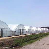 Serre tunnel monocouche pour légumes, structure en acier galvanisé à chaud avec couverture en feuille plastique durable pour l'agriculture