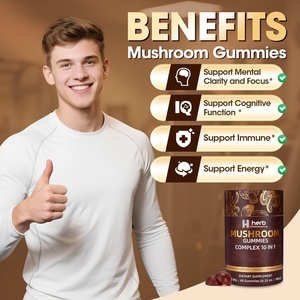 Gomitas de hongos naturales OEM ODM, mezcla de Melena de León y Chaga, mejoran la memoria y el sueño, 2 gomitas por porción, botella de 60 gomitas, para adultos - Product Image 4