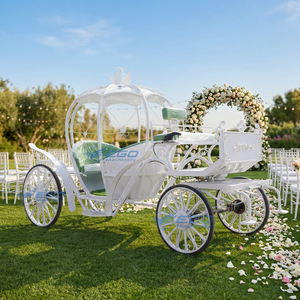 Chariots à Chevaux Vintage pour Visites Touristiques – Voitures à Chevaux Européennes pour Excursions - Product Image 1