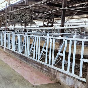 Equipo para Granjas Ganaderas, Abrazadera para Cabeza y Cuello de Ganado, Bloqueo Galvanizado Ajustable, Alto Nivel de Seguridad, Marca <span class=keywords><strong>Altay</strong></span> - Product Image 2