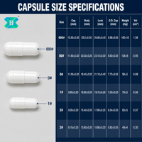Capsules végétales vides en Hypromellose HPMC (algues marines) en gros, tailles 00, 0, 1, 2, 3, sans gélatine, sans BSE, sans TSE