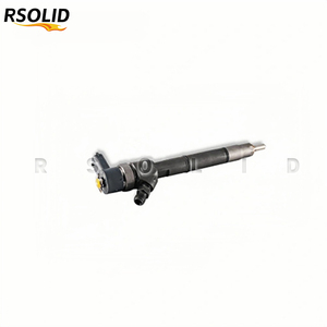 หัวฉีดน้ำมันเชื้อเพลิง Rsoliddiesel 0445110255 0 445 110 255 0445110241 0445110256 0445110727 33800-2A400 0986435152 F00VC01347 - Product Image 2