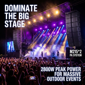 Dual Professional <b>Speaker</b> 700w Plywood Pa Sound System <b>with</b> Mixer and <b>Amplifier</b> for Stage Performance Church M215*2 - Product Image 2