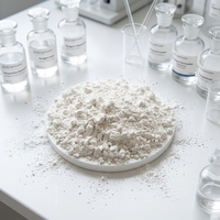 Polvo de Nano TiO2 de Grado Industrial, 99.9% de Pureza, Alta Superficie de Contacto, Aplicación en Síntesis Química Fina