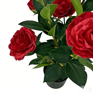 Arbre de camélia artificiel, faux arbre de camélia, arbre de camélia en pot - Product Image 6