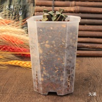 Pots en plastique transparent Macetas Pot Tall Slit Square pour la décoration de jardin à domicile, bonsaï, plantes succulentes, jardinières