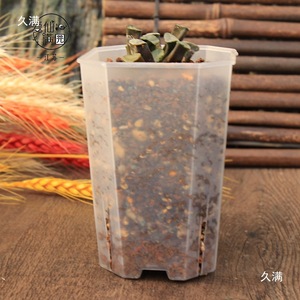 Vasi in Plastica Trasparente Alti Quadrati con Fessure per Decorazione Casa e Giardino, Bonsai, Piante Succulente e Fiori - Product Image 6