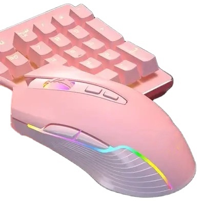 LIGHTSPEED 2.4Ghz Wireless RGB Backlit Ambidextrous Gaming Mouse-32000 DPI 6 Programmable Buttons Lightweight