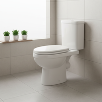 Nouveau design WC en céramique à double chasse avec siphon en P, deux pièces, prix abordable, pour salle de bain, vente chaude en Chine