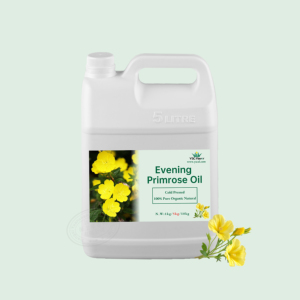 Kostenlose Probe Private Label Reines Natürliches Bio-Nachtprimelöl für Haut- & Körpermassage Hersteller Großhandel Bulk - Product Image 2