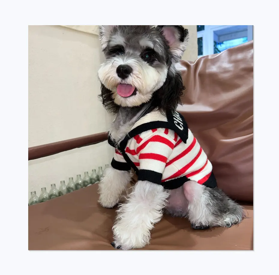 럭셔리 브랜드 새로운 스트라이프 디자이너 개 스웨터 D 클래식 로고 인쇄 애완 동물 폴로 셔츠