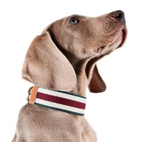 Collier de chien personnalisable de haute qualité pour chiens de taille moyenne Motif d'impression directe d'usine Sangle rembourrée en cuir Corde de traction chat