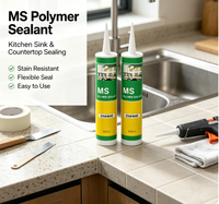 Scellant polymère MS résistant aux intempéries, adhésif flexible pour le jointement des cadres de verrière et de serre en verre
