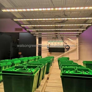 Mesa <span class=keywords><strong>de</strong></span> inundación <span class=keywords><strong>de</strong></span> Banco rodante <span class=keywords><strong>de</strong></span> flujo y reflujo vertical para cultivo <span class=keywords><strong>de</strong></span> microverduras para interior - Product Image 4