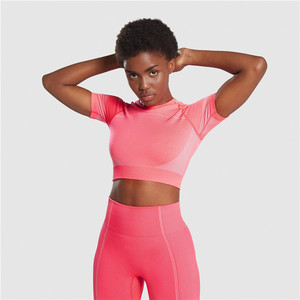 Ladies fashion short-sleeve workout clothes two pieces logo seamless yoga sports suit plain new set private Brand sets - Product Image 4