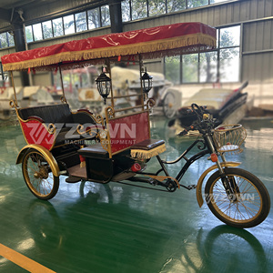 Tricycle Rickshaw Électrique à Trois Roues, Monorangée, 6 Vitesses, Cadre en Acier, Freins Hydrauliques au Pied et à la Main, Tendance pour Touristes - Product Image 2