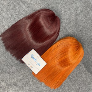 Articles de vente chauds perruque Extensions de cheveux humains fermeture à lacet transparente os droit 100% cheveux vietnamiens couleur personnalisée en gros - Product Image 5