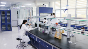 ผงเวย์โปรตีนเข้มข้น80% เวย์โปรตีนมีความบริสุทธิ์สูง - Product Image 5