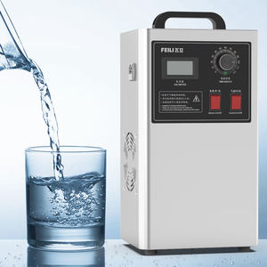 Generatore di Ozono Portatile in Acciaio Inox FEILI con Garanzia di 1 Anno per la Sterilizzazione di Frutta, Verdura e Carne - Product Image 3