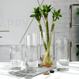 Jarrones de Vidrio Cilíndricos Ecológicos y Duraderos de Diferentes Tamaños, Color Personalizado, Clásicos y Populares, Transparentes, para Bodas y <span class=keywords><strong>Hogar</strong></span>, Venta al Por Mayor - Product Image 3