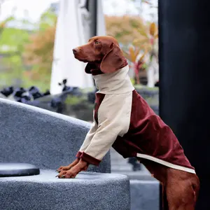 Ropa de perro de lujo francesa de diseñador OEM ODM abrigo de lana de <span class=keywords><strong>galgo</strong></span> personalizado para todas las razas 4 Patas al aire libre mangas cuello para el verano - Product Image 5