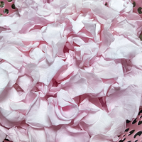 Confettis de pétales de fleurs de mariage préservées, biodégradables, roses séchées Anna, grandes feuilles, hortensias Atlantis, faits à la main, toucher réel