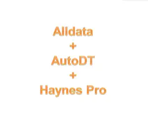 2024 Versão mais recente combinação de software Alldata + AutoDT + Haynes Pro melhor servidor rápido que ajuda no trabalho diário