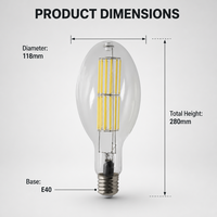 Ampoule LED à filament E40 ED120 en verre transparent, ovale, 280 mm, pour éclairage de cour, rue, entrepôt, rénovation d'éclairage à haut rendement