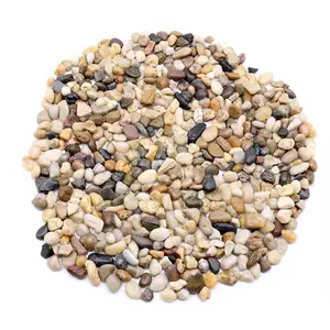 Washed Pea Gravel Pebbles And Rocks For Plants