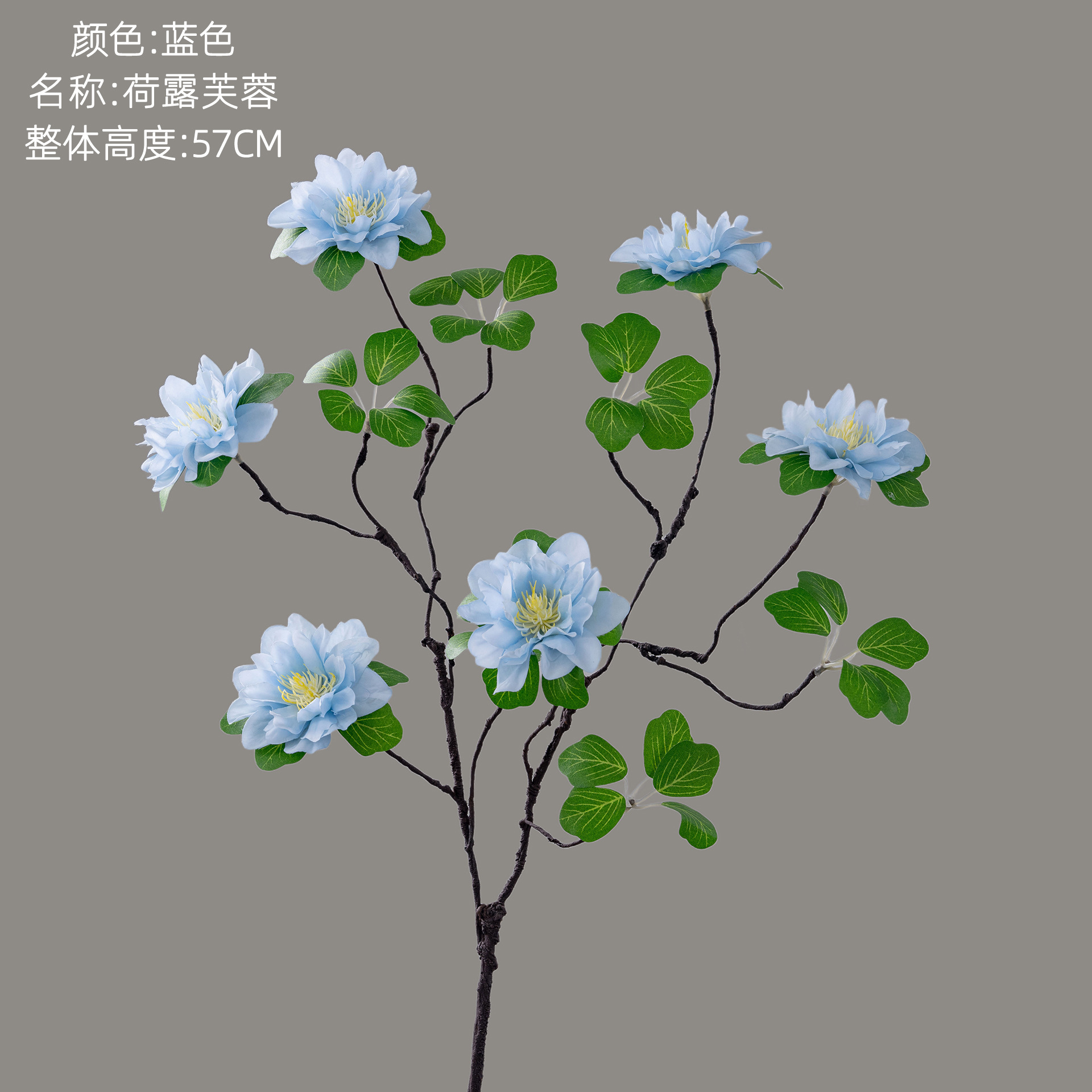 Bleu