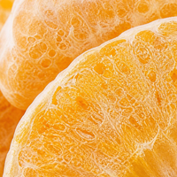 Groothandel Gedroogde Mandarijn Snacks Bulk Zoetzuur Knapperig FD Technologie OEM Fabriek Directe Export Leverancier