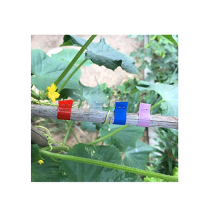 โรงงานผลิตเครื่องรัดเทป เทปมัดพัน เครื่องรัดเทป - Product Image 4