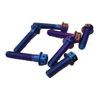 Vente directe d'usine baut boulon en titane M5 M6 M8 M10 gr5 titane pour moto vélo